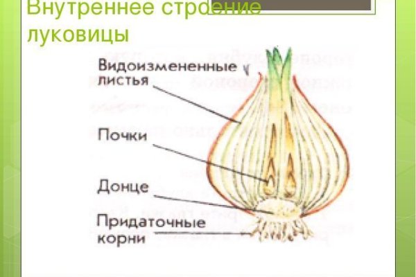 Как вывести деньги с kraken