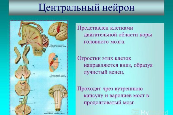 Главная страница кракен