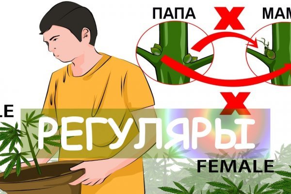 Как зайти в кракен