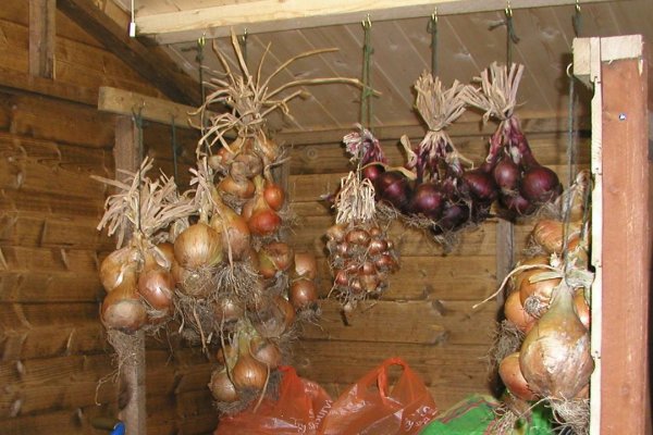Kraken адрес onion