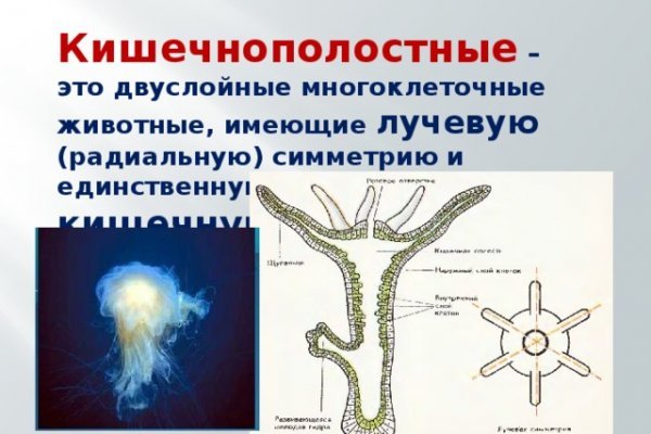 Свежие ссылки кракен